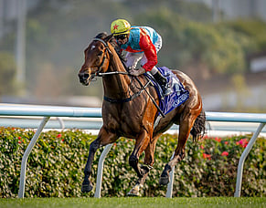 Ka Ying Rising surges into Hong Kong racing history with 18th straight win