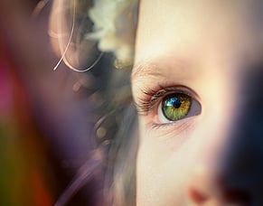 Supporting Blind Low Vision Children in ECE