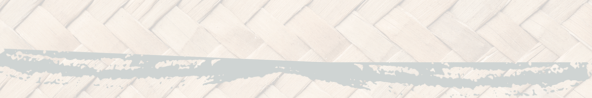 Mangere Mountain Education Trust logo