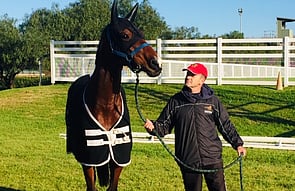 RICHIE & VOLPE VELOCE