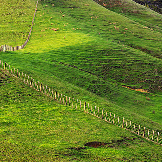 Green Fields