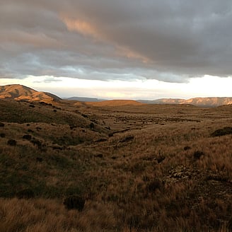 Sunset over grasslands