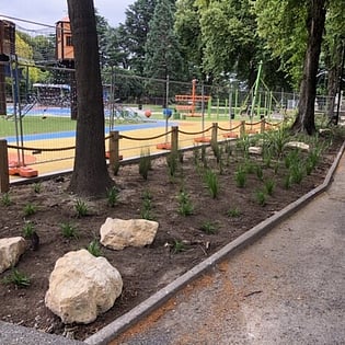 Landscaped path in a park