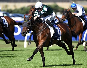 Oaks quinella caps landmark period for Waikato Stud