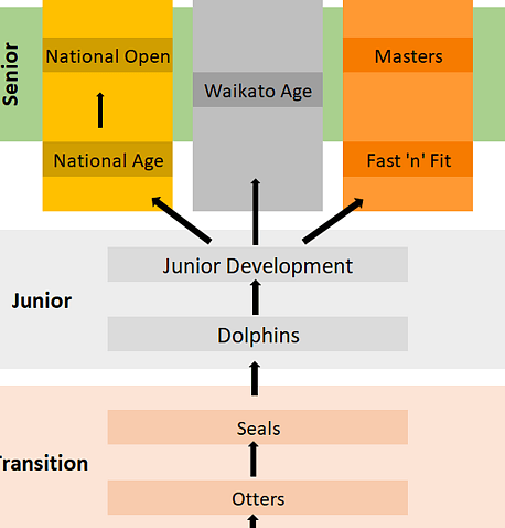 Hamilton Aquatics  - Squad Flow Chart