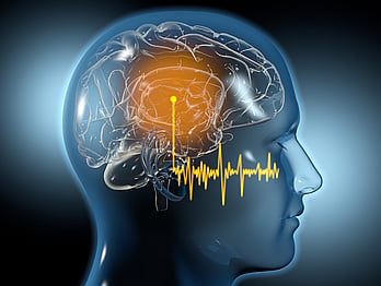 Image of brain waves