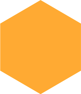 A honeybee visits between 50-100 flowers during a single collection flight.