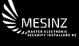 Master Electronic Security Installer New Zealand - MESINZ