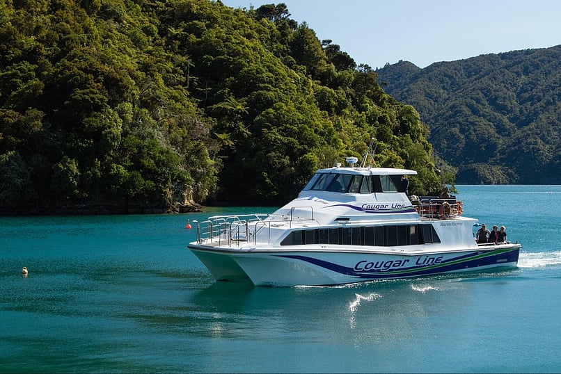 Cougar Line "Sounds Exciting"