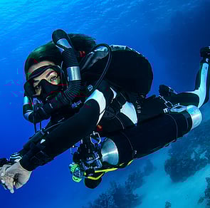 HORIZON SCR - Welcome to the silent world