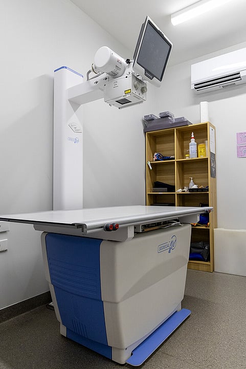 In-house X-rays help our vets see clearly and make informed decisions quickly.