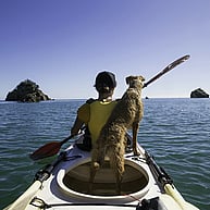 Ethical and responsible investing. Plan between 40 and 65 with Moneyworks