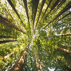 Ethical and responsible investing. Learn about ESG Awareness and Negative Screening with Moneyworks