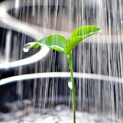 Learn about green washing with Moneyworks