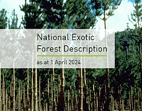 National Exotic Forest Description