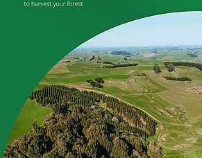 A guide to harvesting for small forest owners