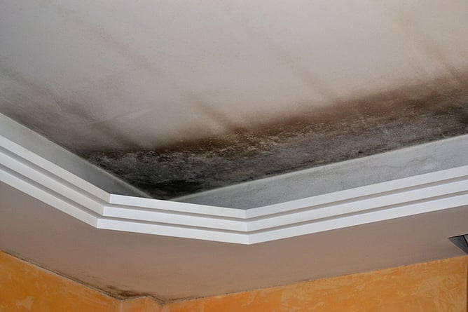 mould on ceiling from broken guttering