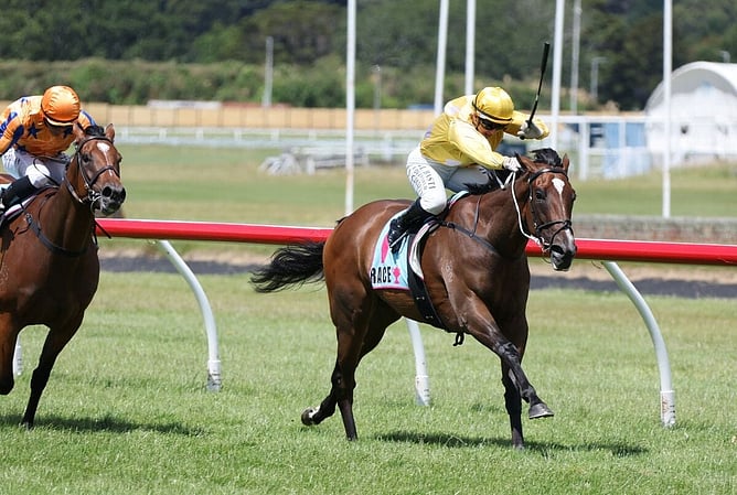 War Princess winning the Gr.3 Lawnmaster Eulogy Stakes (1600m) at Trentham. Photo: Peter Rubery (Race Images) - War Princess winning the Gr.3 Lawnmaster Eulogy Stakes (1600m) at Trentham. Photo: Peter Rubery (Race Images)