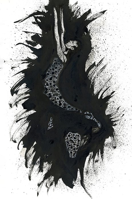 Trapeze - Mark Haydock