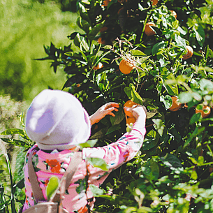 Welcome Bay Early Childhood Centre