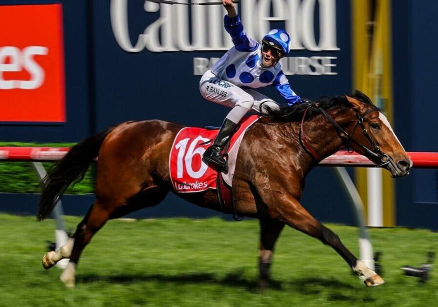 Harlow Gold (Tavistock x Belongs in Lights)