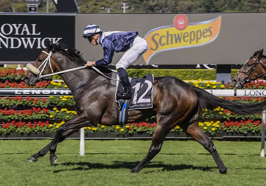 Kinane (Reliable Man x Tres Rapide)