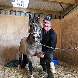 Steve Cleary | Savvy Touch