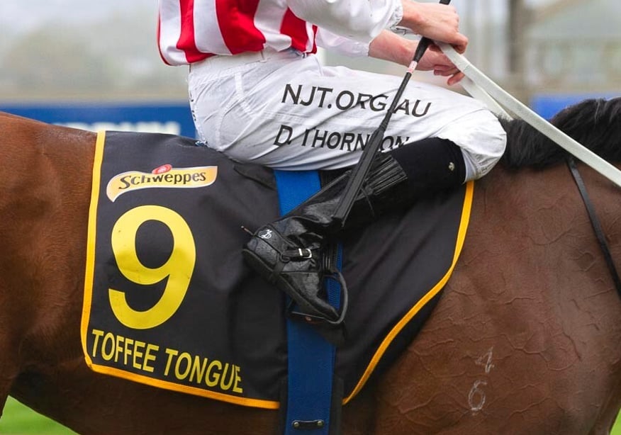 Toffee Tongue (Tavistock x Bagalollies)