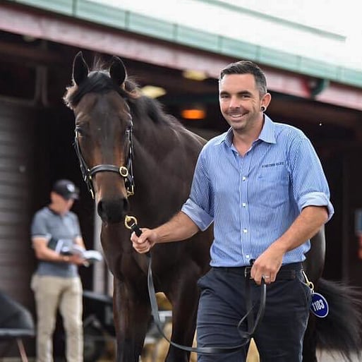 Weanling and Yearling Sales Preparation