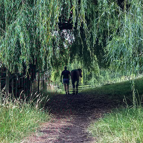 Highden Park | Small farm