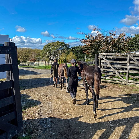 Contact Highden Park New Zealand