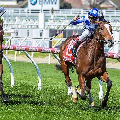 Contact Highden Park Rongotea