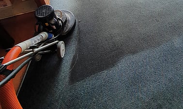 Various Carpet Cleaning Techniques | Gardna Carpet Cleaning