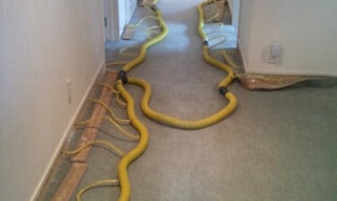 Water Damage | Gardna Carpet Cleaning
