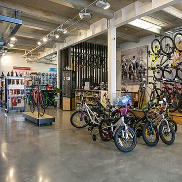 Spoken Cycles at 48 Empire Street