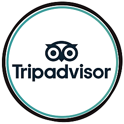 Tripadvisor Badge Of Excellence