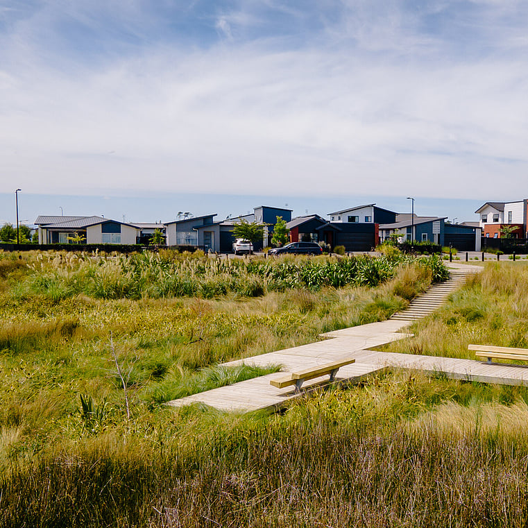 photo of homes and walkway in between bushes