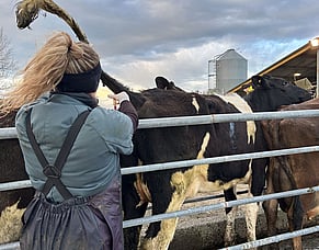 Test trace elements with PP+