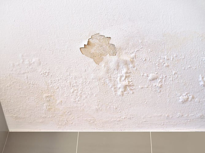 ceiling water stains and bubbling paint from leaking roof