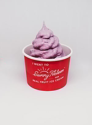 Blueberry Real Fruit Ice Cream