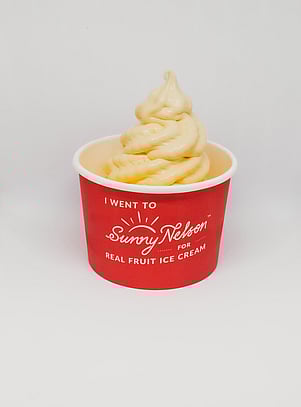 Mango Real Fruit Ice Cream