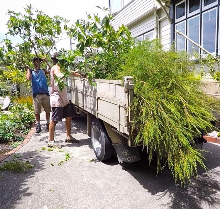 Clearing a property for landscaping preparation in Nelson Tasman
