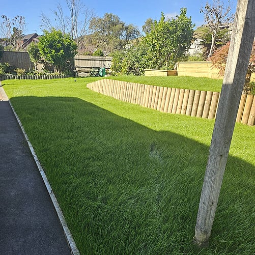 Hydroseeding on Prepared Soil after result