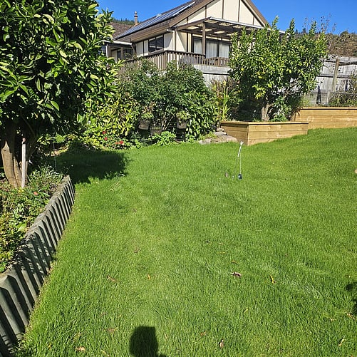 Hydroseeding on Prepared Soil in Rotorua