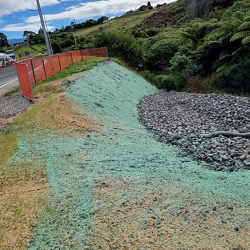 Civil Site Restoration in Whakamarama Tauranga