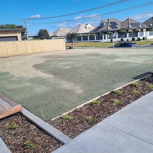 Home Lawn Restoration on Ranch Road, Bay of Plenty