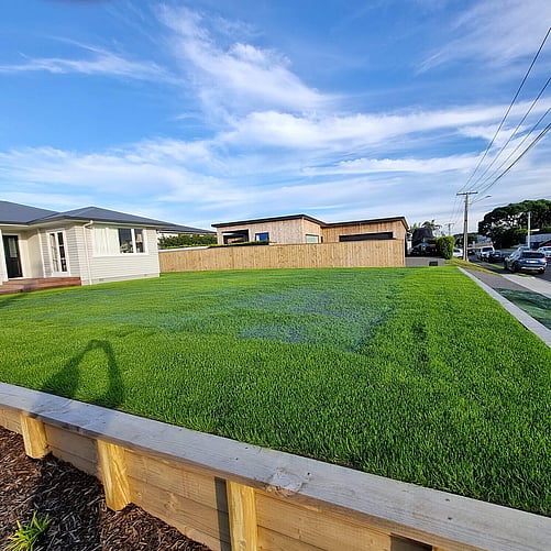 Residential Hydroseeding for a Home Lawn Restoration In Tauranga