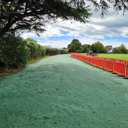 Commercial Hydroseeding at Tauranga Domain Park Bay of Plenty