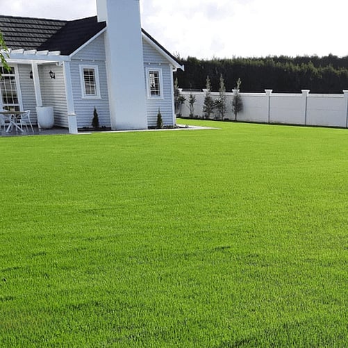 Post Residential Hydroseeding for Home Lawn Restoration in Bay of Plenty
