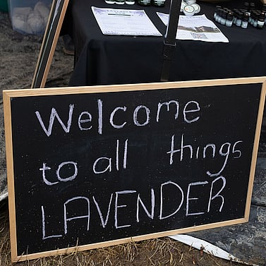 lavender festival gallery blackboard sign